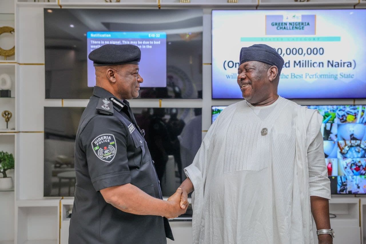 IGP Olatunji Disu